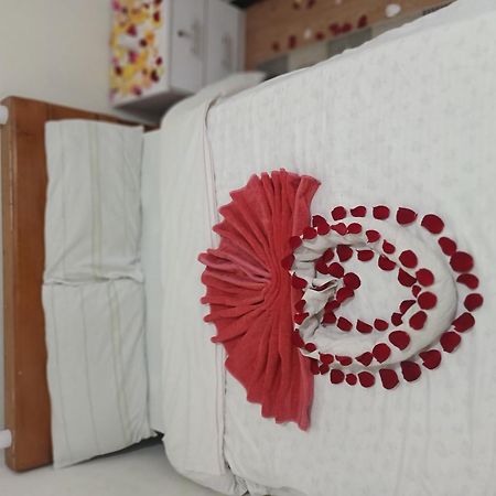 Addis Guest House Ngoại thất bức ảnh